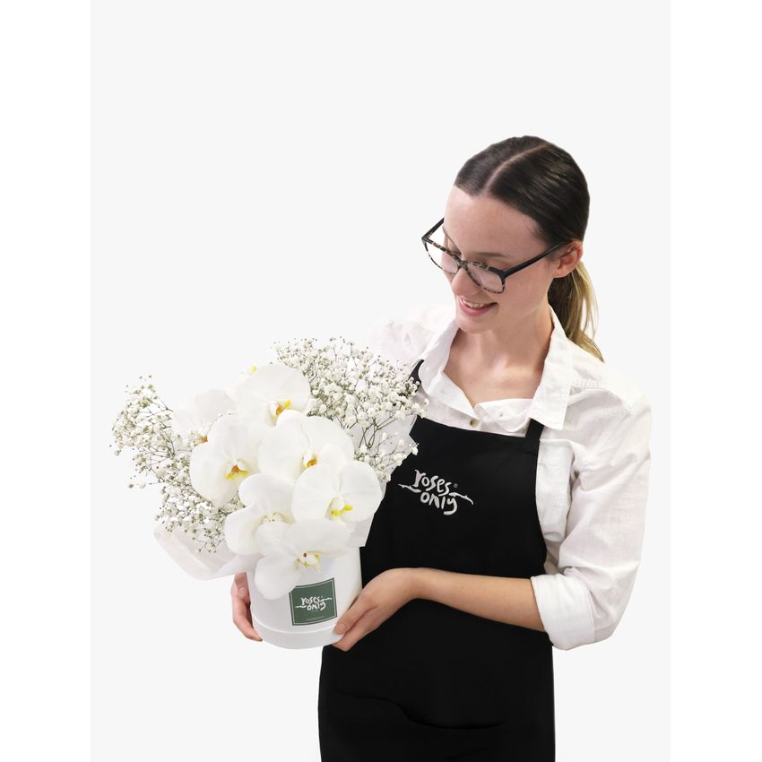 Luxury White Orchids Petite