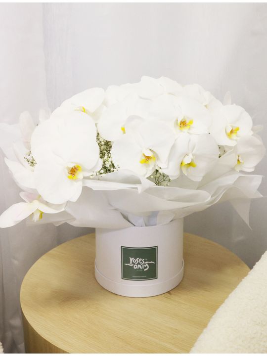 Luxury White Orchids Premium Flowers