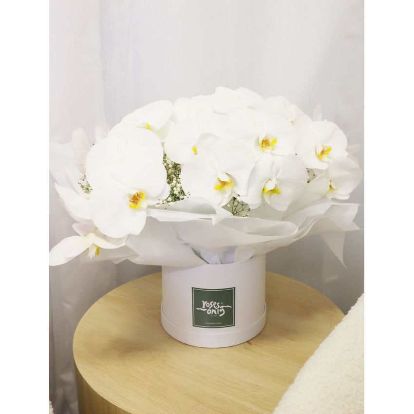 Luxury White Orchids Premium