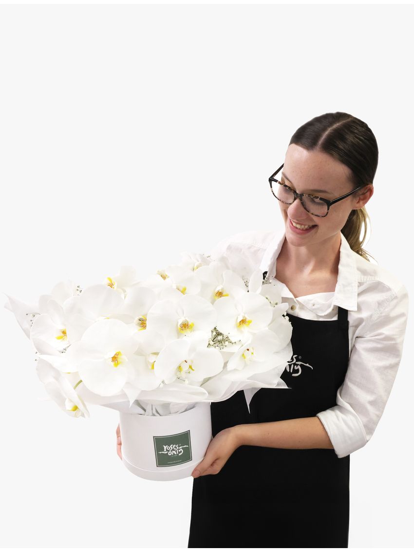 Luxury White Orchids Premium