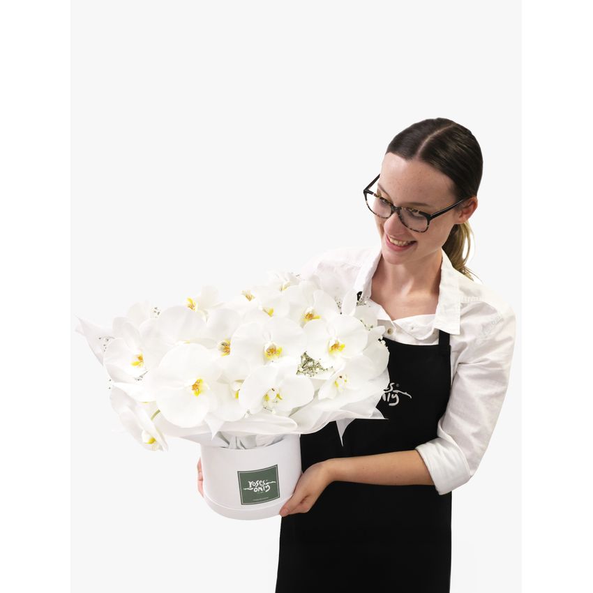 Luxury White Orchids Premium
