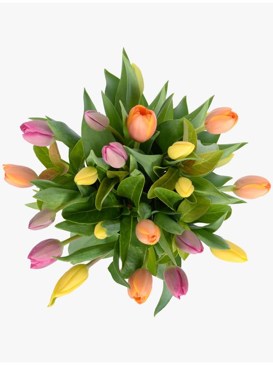 Tulip Bouquet Mixed 20 Flowers