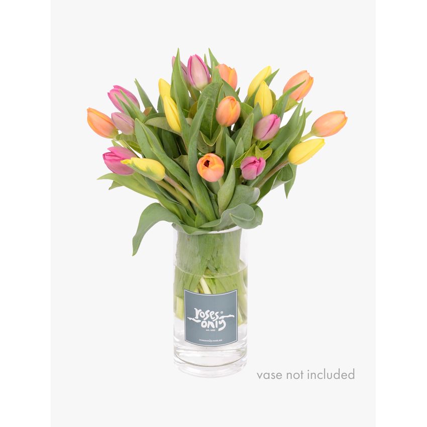 Tulip Bouquet Mixed 20