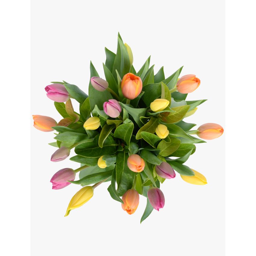 Tulip Bouquet Mixed 20 in Vase