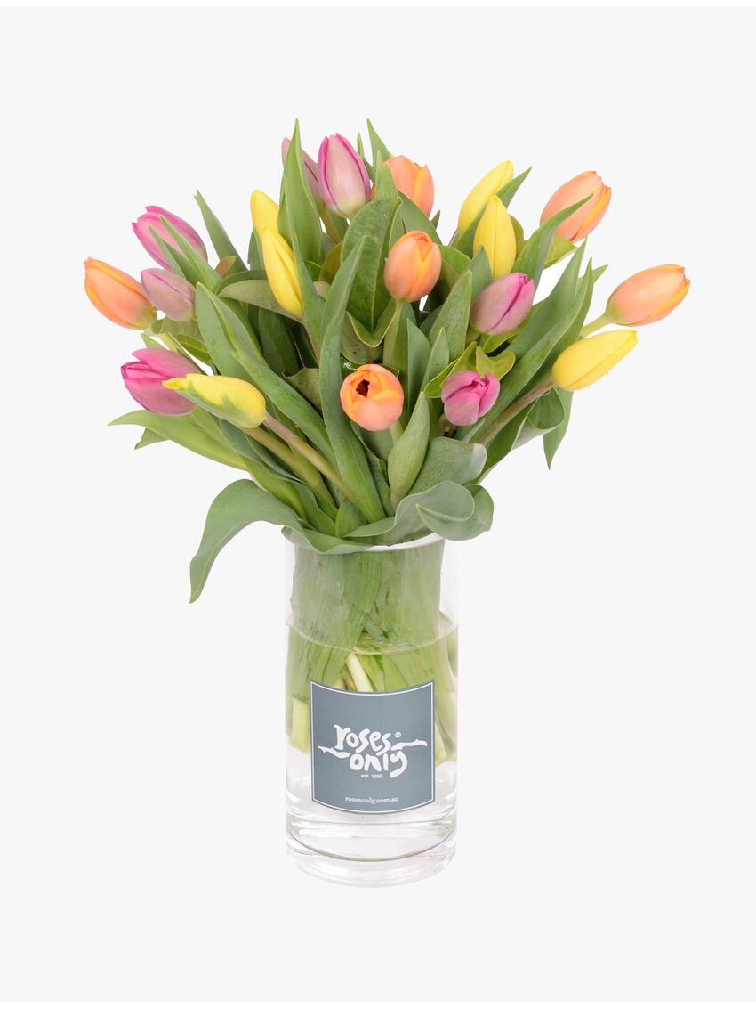 Tulip Bouquet Mixed 20 in Vase
