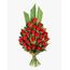 Sheaf Red Large Flowers