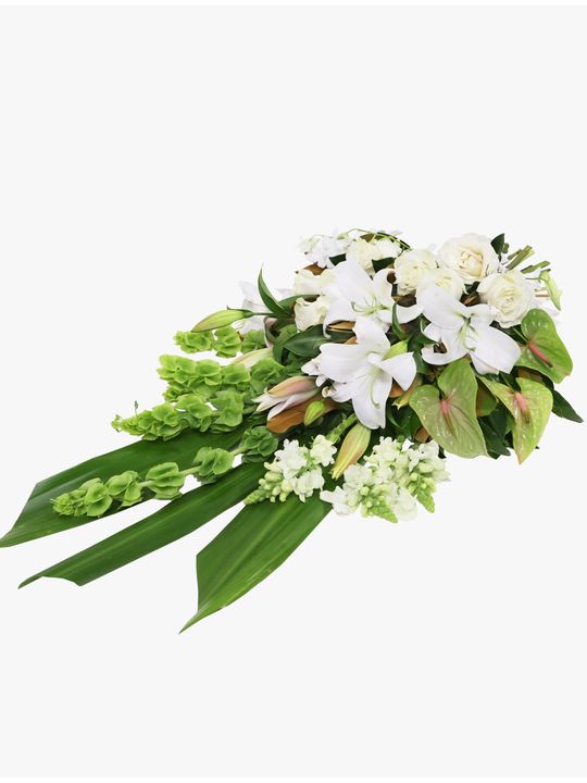 Sheaf White Large Flowers