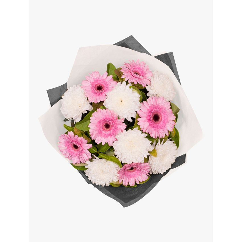 Stunning Gerbera and Disbud Bouquet