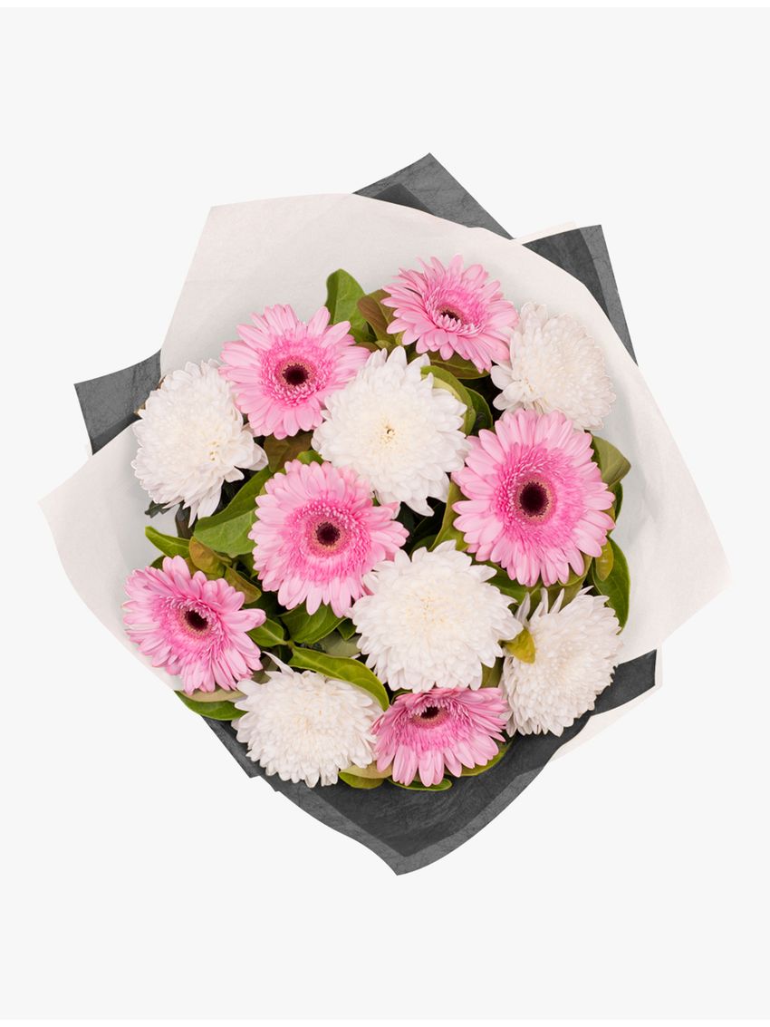 Stunning Gerbera and Disbud Bouquet
