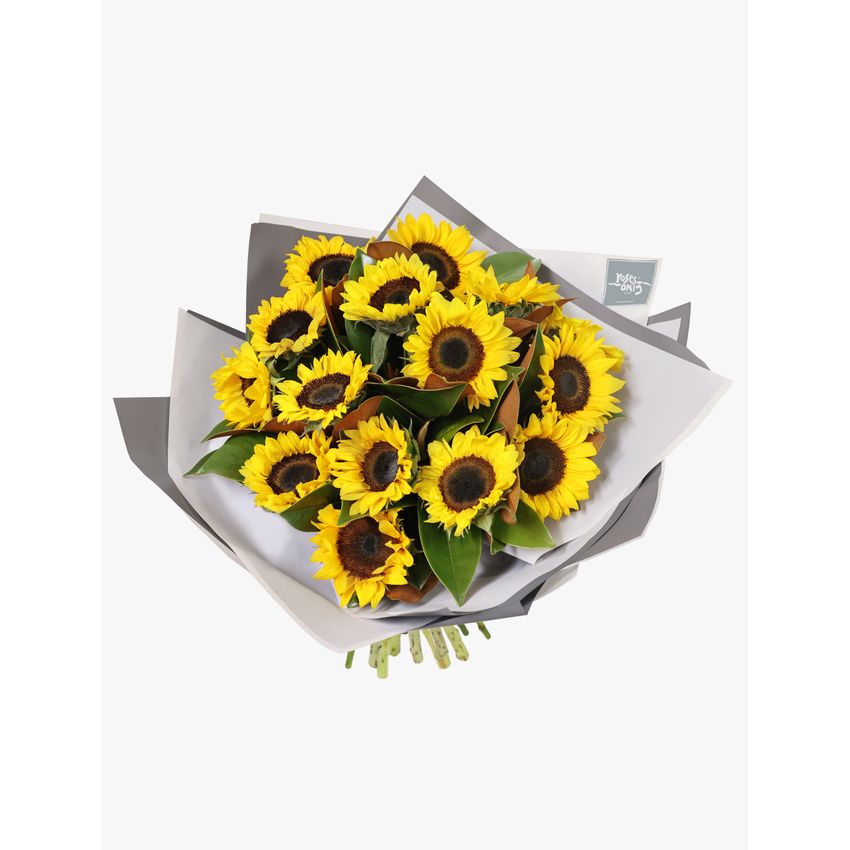 Sunflower Bouquet 15