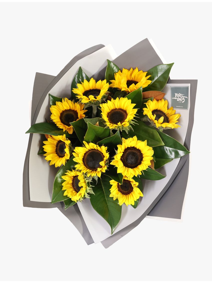 Sunflowers Bouquet 10 Special