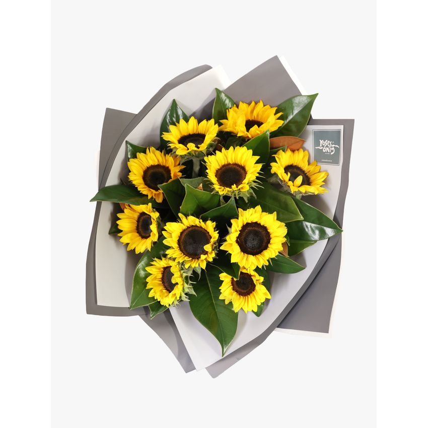 Sunflowers Bouquet 10 Special
