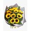 Sunflower Bouquet 10 Flowers