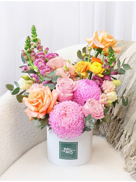 Sweet Sorbet Large Flowers