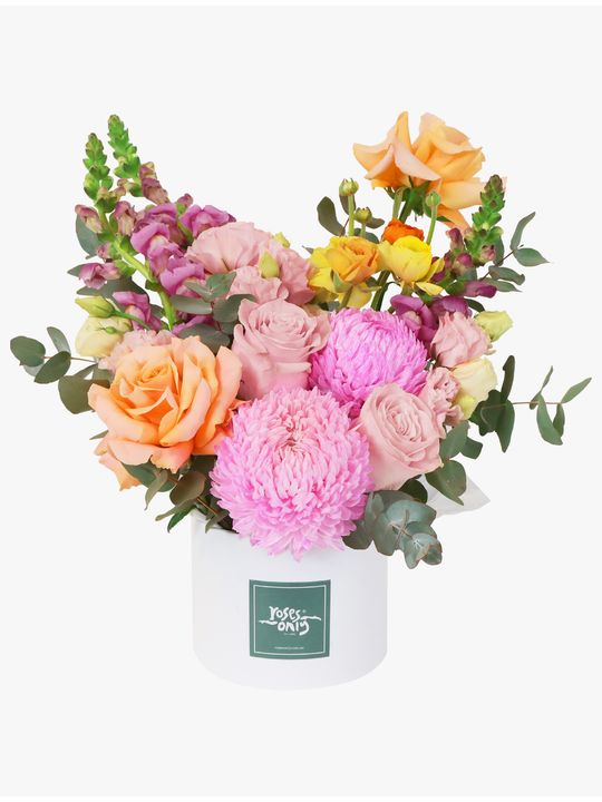 Sweet Sorbet Large Flowers