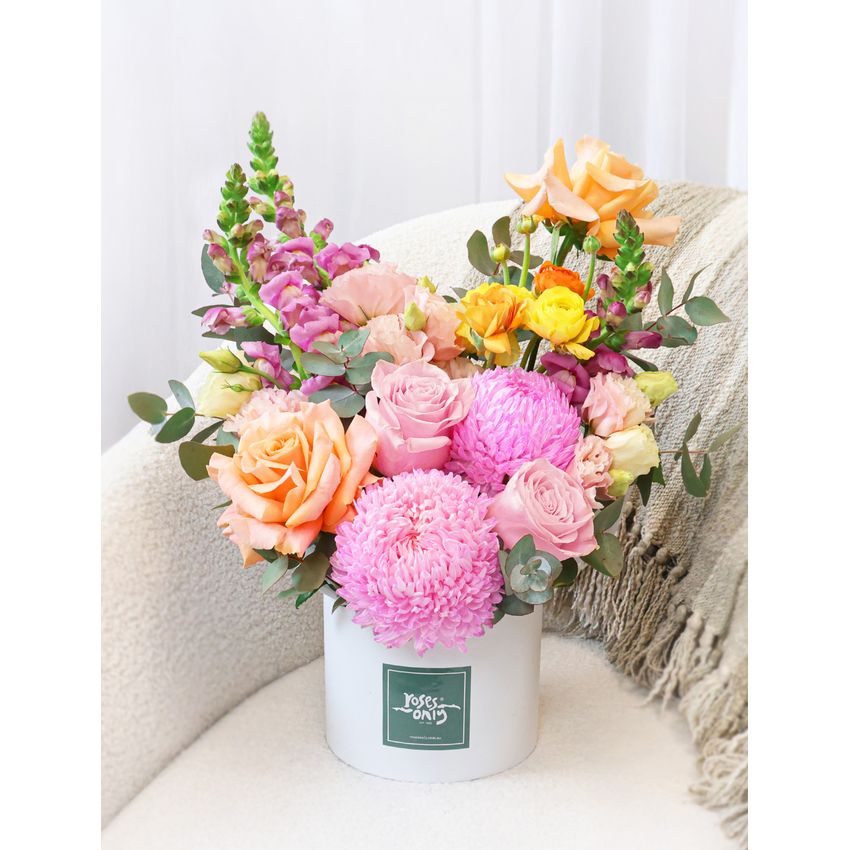 Sweet Sorbet Large Romance Bundle