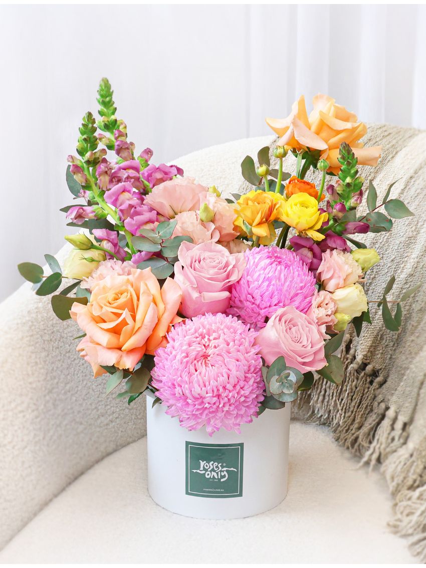 Sweet Sorbet Large Romance Bundle