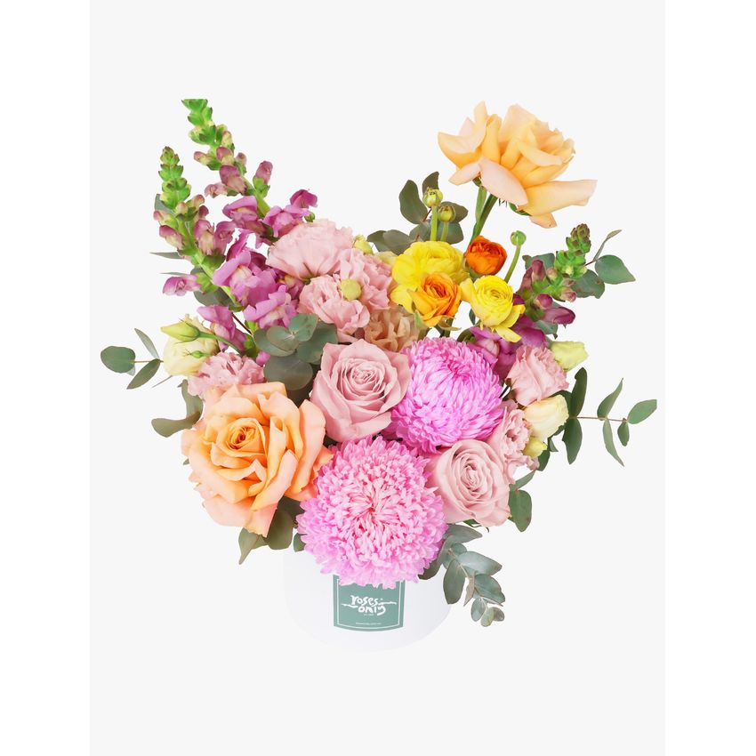 Sweet Sorbet Large Romance Bundle
