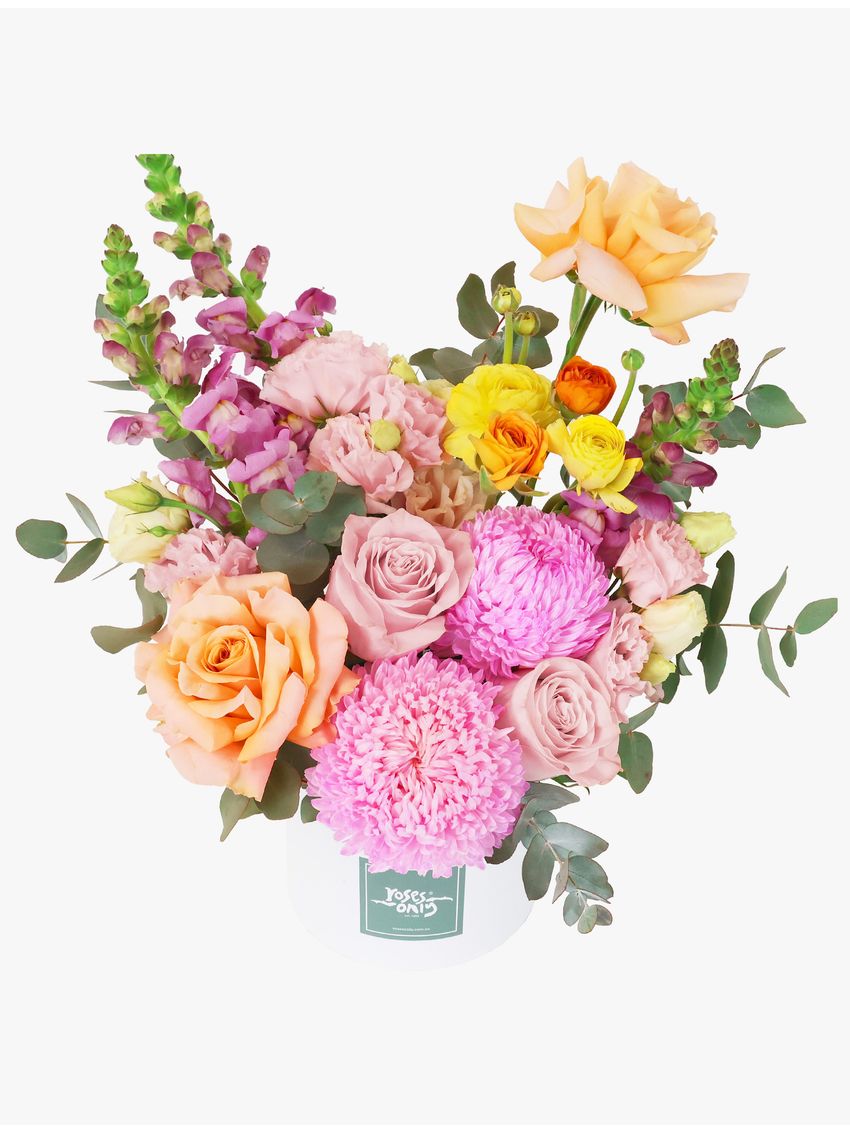 Sweet Sorbet Large Romance Bundle