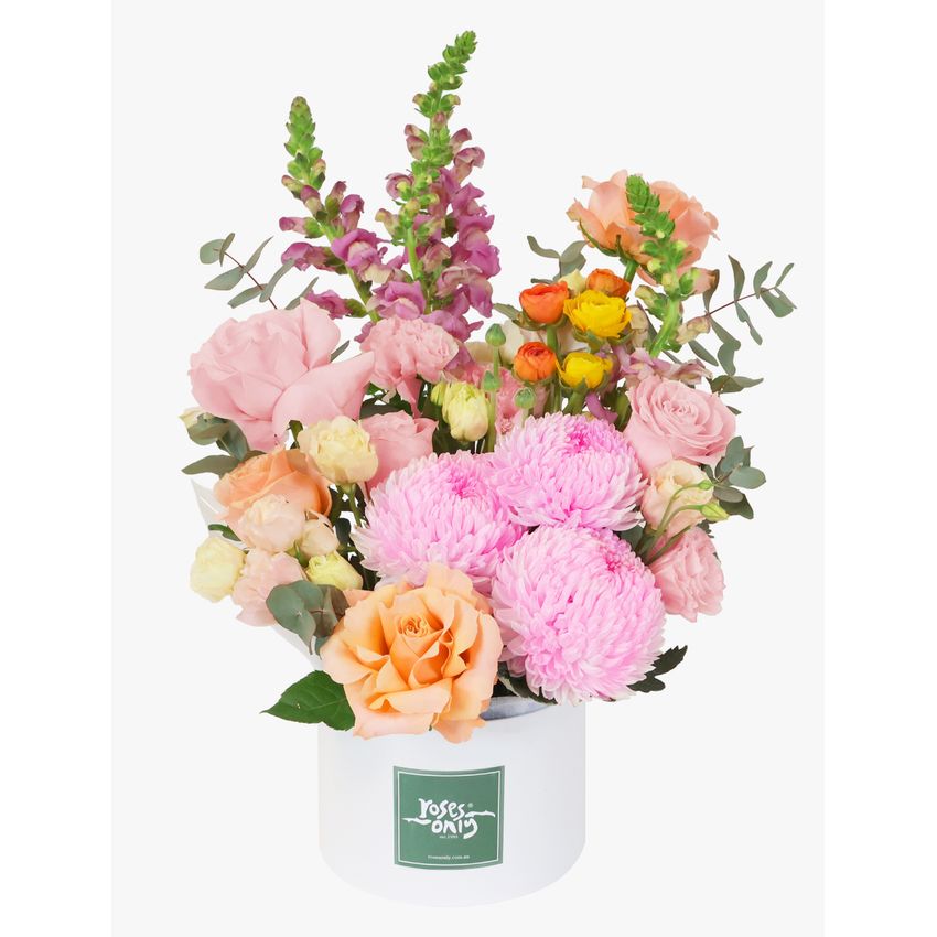 Sweet Sorbet Luxe