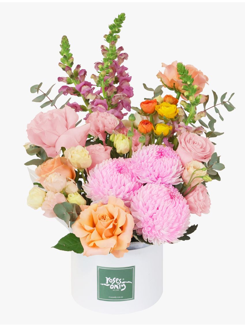 Sweet Sorbet Luxe