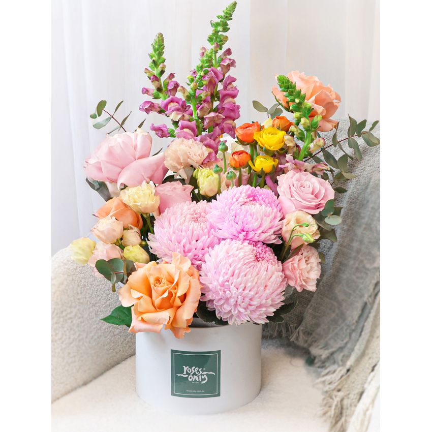 Sweet Sorbet Luxe