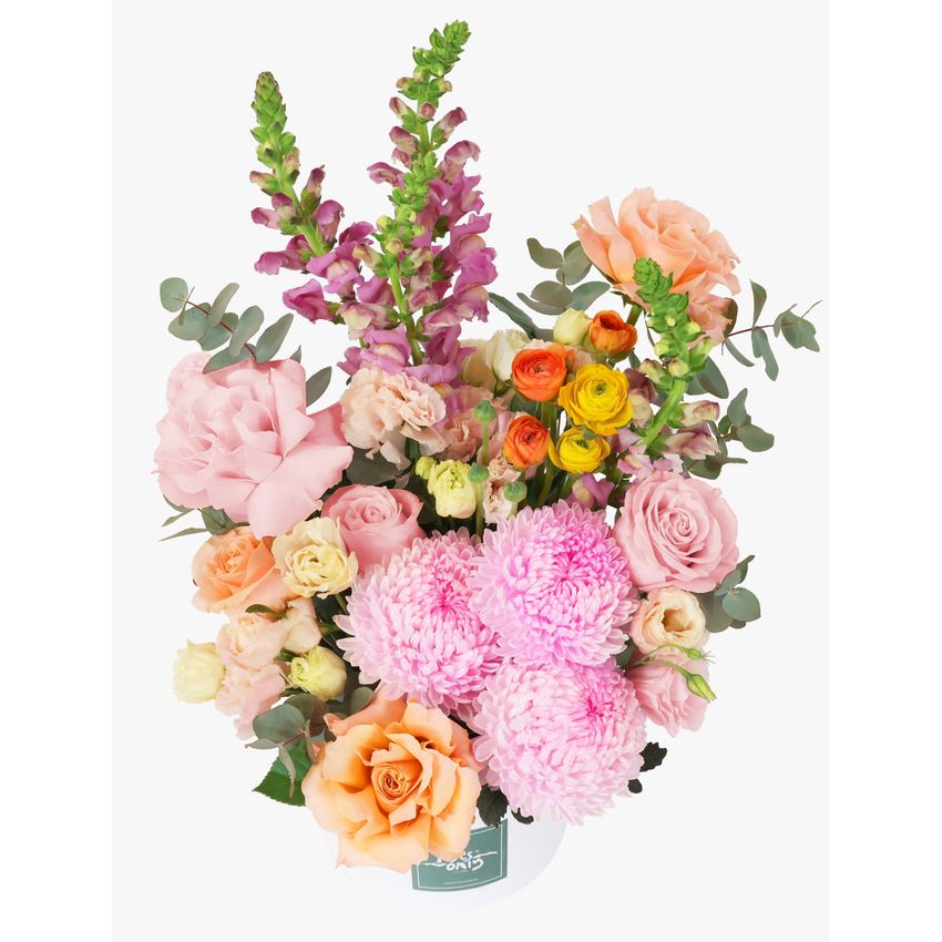 Sweet Sorbet Luxe