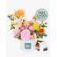 Sweet Sorbet with FREE Chocs Flowers