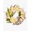 Pale Wreath Flowers