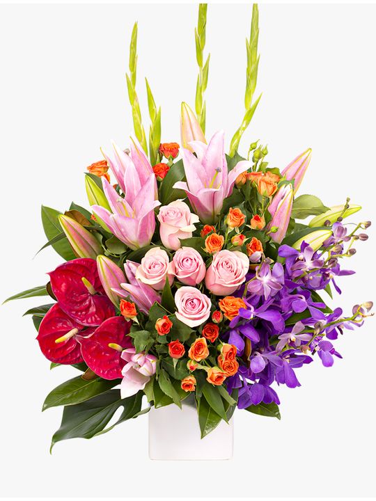 Rainbow Gala Arrangement Flowers