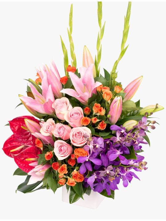 Rainbow Gala Arrangement Flowers