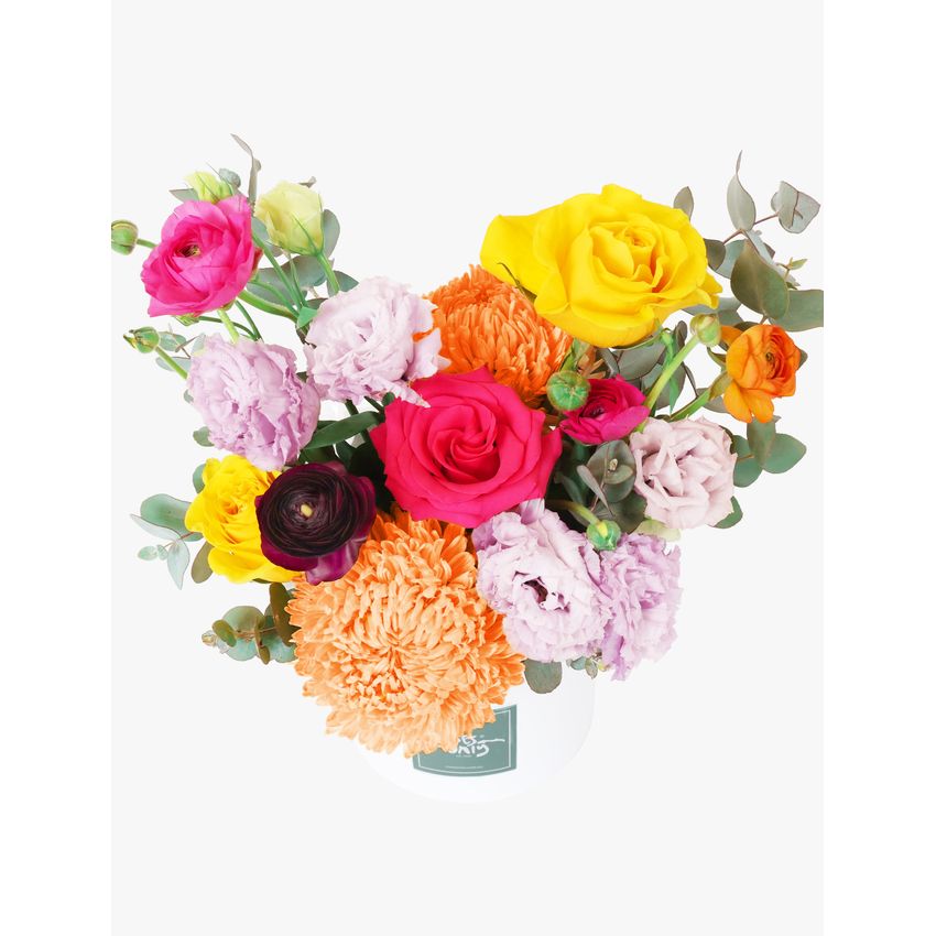 Vivid Pop Birthday Bundle
