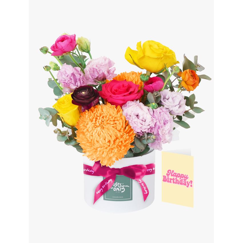 Vivid Pop Birthday Bundle