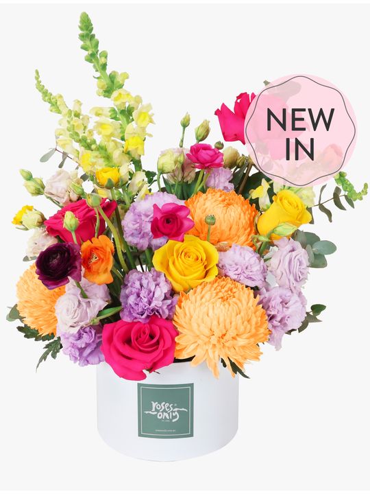 Vivid Pop Luxe Flowers