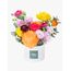 Vivid Pop Flowers