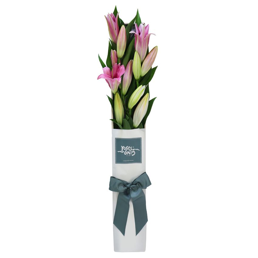 5 Pink Oriental Lilies Gift Box