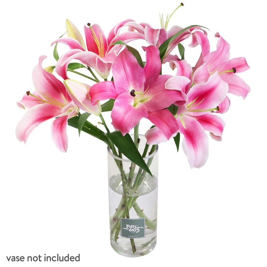 5 Pink Oriental Lilies Gift Box