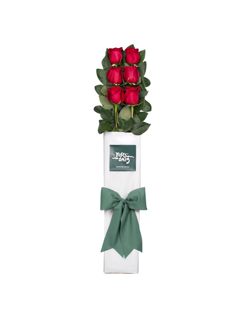 6 Red Roses for Valentine's Day Gift Box