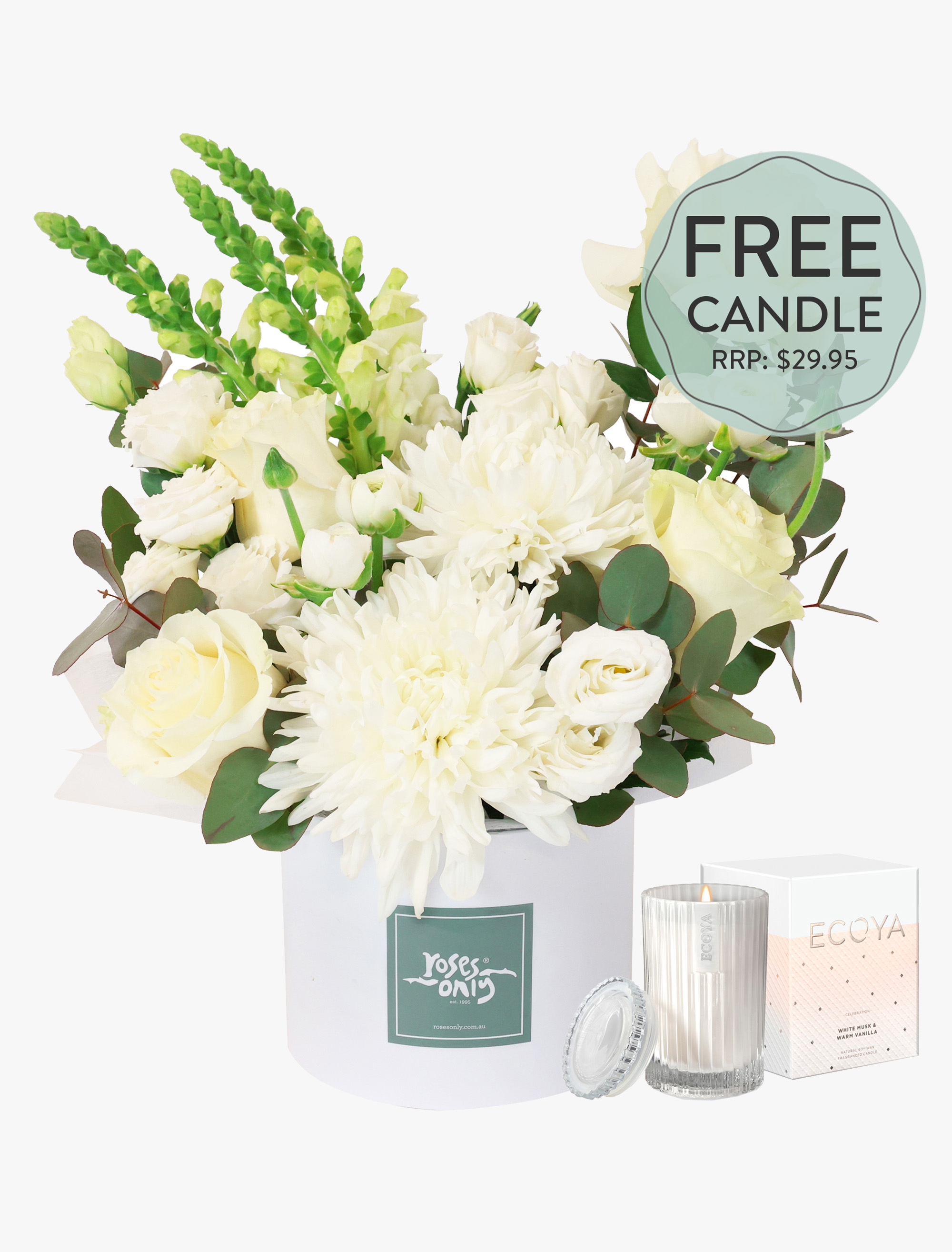 Daydream Large with FREE Candle